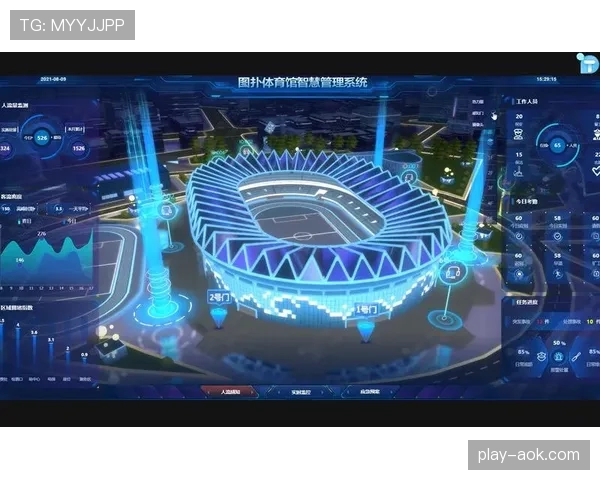 体育数字资产成体育组织核心资产，战略地位提升