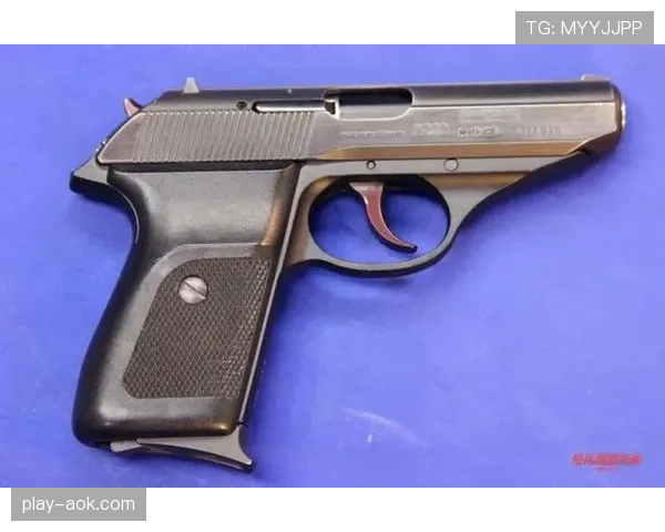 德国正将自己重塑为武器工厂，从汽车转向国防工业